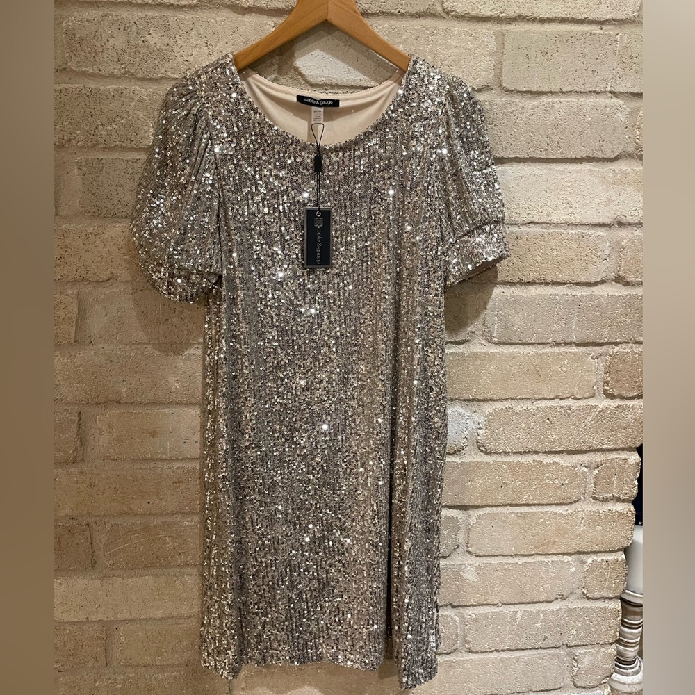 Cable & Gauge Sparkling Silver Mini Dress